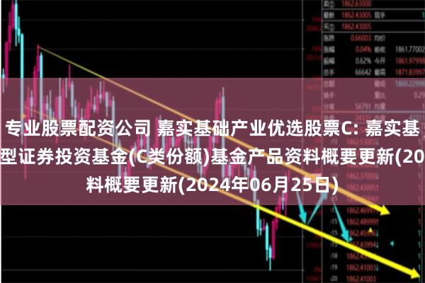 专业股票配资公司 嘉实基础产业优选股票C: 嘉实基础产业优选股票型证券投资基金(C类份额)基金产品资料概要更新(2024年06月25日)