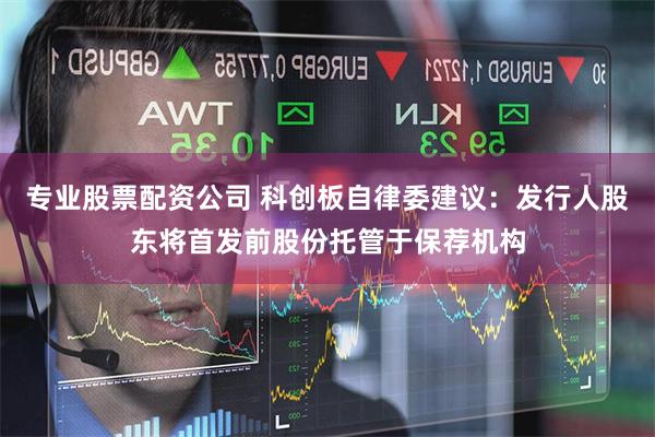 专业股票配资公司 科创板自律委建议：发行人股东将首发前股份托管于保荐机构