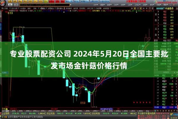 专业股票配资公司 2024年5月20日全国主要批发市场金针菇价格行情