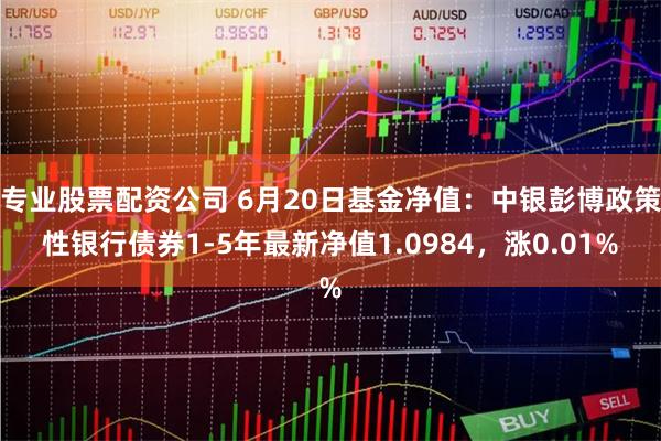 专业股票配资公司 6月20日基金净值：中银彭博政策性银行债券1-5年最新净值1.0984，涨0.01%