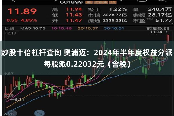 炒股十倍杠杆查询 奥浦迈：2024年半年度权益分派每股派0.22032元（含税）