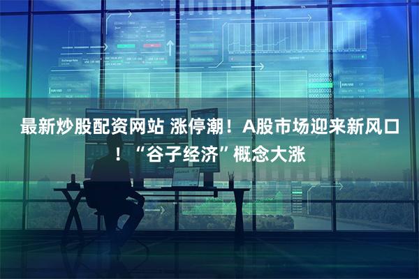 最新炒股配资网站 涨停潮！A股市场迎来新风口！“谷子经济”概念大涨