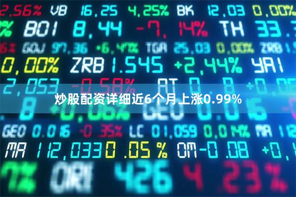 炒股配资详细近6个月上涨0.99%