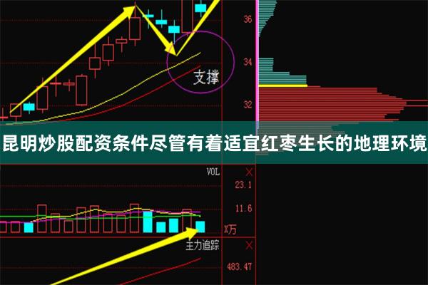 昆明炒股配资条件尽管有着适宜红枣生长的地理环境