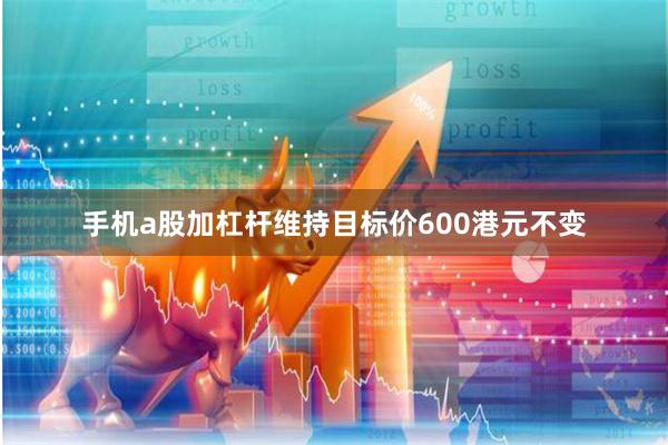 手机a股加杠杆维持目标价600港元不变